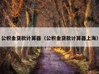 公积金贷款计算器（公积金贷款计算器上海）