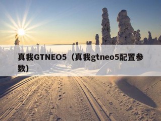 真我GTNEO5（真我gtneo5配置参数）