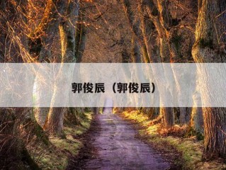 郭俊辰（郭俊辰）