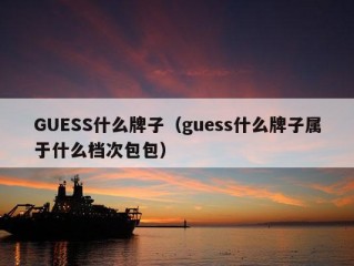 GUESS什么牌子（guess什么牌子属于什么档次包包）