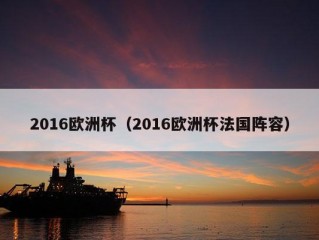 2016欧洲杯（2016欧洲杯法国阵容）