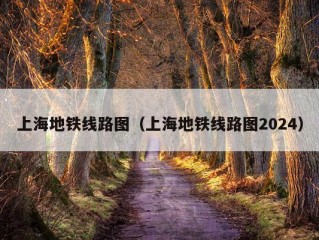 上海地铁线路图（上海地铁线路图2024）