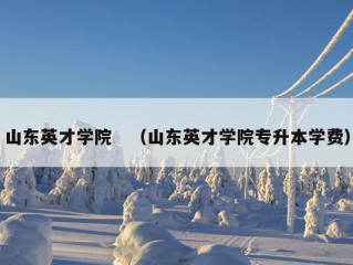 山东英才学院　（山东英才学院专升本学费）