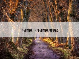 毛晓彤（毛晓彤春晚）