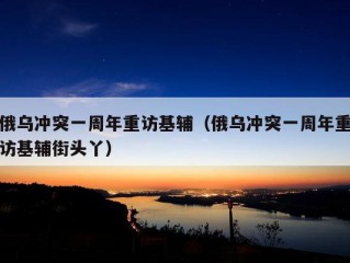 俄乌冲突一周年重访基辅（俄乌冲突一周年重访基辅街头丫）