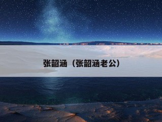 张韶涵（张韶涵老公）