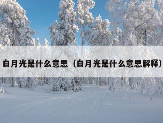 白月光是什么意思（白月光是什么意思解释）