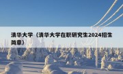 清华大学（清华大学在职研究生2024招生简章）