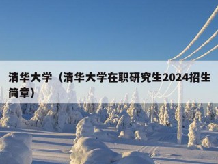 清华大学（清华大学在职研究生2024招生简章）