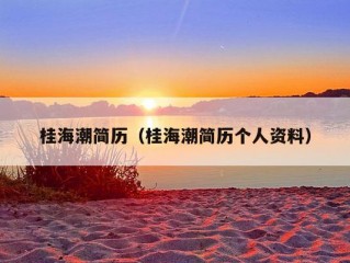 桂海潮简历（桂海潮简历个人资料）