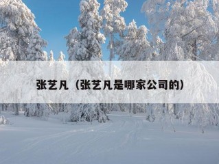 张艺凡（张艺凡是哪家公司的）