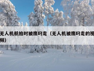 无人机航拍时被鹰叼走（无人机被鹰叼走的视频）