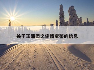 关于玉蒲团之偷情宝鉴的信息