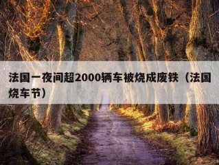 法国一夜间超2000辆车被烧成废铁（法国烧车节）