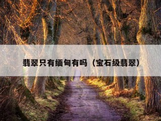 翡翠只有缅甸有吗（宝石级翡翠）