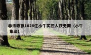 非法吸存1026亿小牛实控人获无期（小牛 集资）