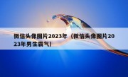 微信头像图片2023年（微信头像图片2023年男生霸气）