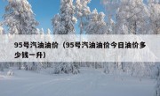 95号汽油油价（95号汽油油价今日油价多少钱一升）