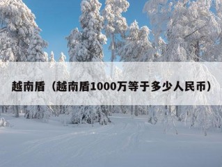 越南盾（越南盾1000万等于多少人民币）