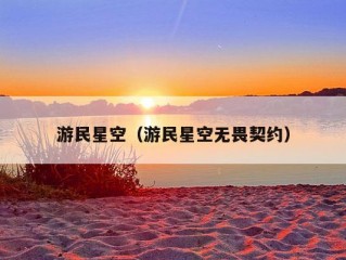 游民星空（游民星空无畏契约）