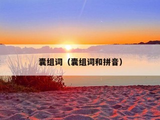 囊组词（囊组词和拼音）