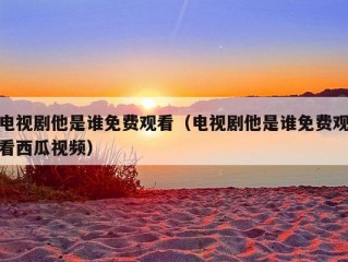 电视剧他是谁免费观看（电视剧他是谁免费观看西瓜视频）