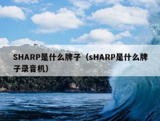 SHARP是什么牌子（sHARP是什么牌子录音机）