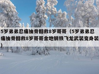 5岁弟弟忍痛抽骨髓救8岁哥哥（5岁弟弟忍痛抽骨髓救8岁哥哥金地钢铁飞龙武装变身装）