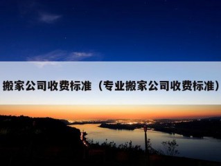 搬家公司收费标准（专业搬家公司收费标准）