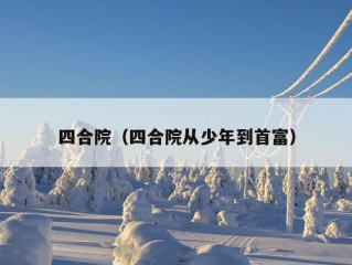 四合院（四合院从少年到首富）