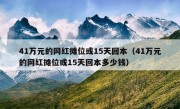 41万元的网红摊位或15天回本（41万元的网红摊位或15天回本多少钱）