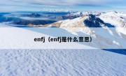 enfj（enfj是什么意思）