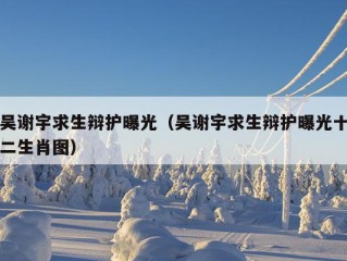 吴谢宇求生辩护曝光（吴谢宇求生辩护曝光十二生肖图）