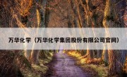 万华化学（万华化学集团股份有限公司官网）