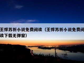 王悍苏祈小说免费阅读（王悍苏祈小说免费阅读下载无弹窗）