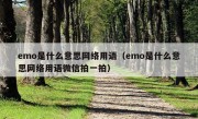 emo是什么意思网络用语（emo是什么意思网络用语微信拍一拍）