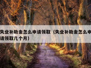 失业补助金怎么申请领取（失业补助金怎么申请领取几个月）