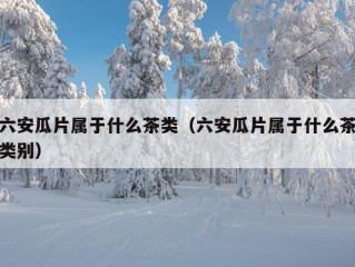 六安瓜片属于什么茶类（六安瓜片属于什么茶类别）