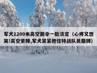 军犬1200米高空跳伞一脸淡定（心疼又想笑!高空索降,军犬紧紧抱住特战队员胳膊）