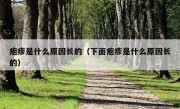 疱疹是什么原因长的（下面疱疹是什么原因长的）