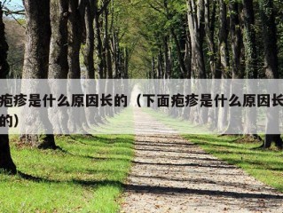 疱疹是什么原因长的（下面疱疹是什么原因长的）