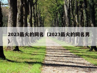 2023最火的网名（2023最火的网名男）