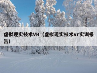 虚拟现实技术VR（虚拟现实技术vr实训报告）