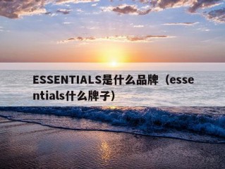 ESSENTIALS是什么品牌（essentials什么牌子）