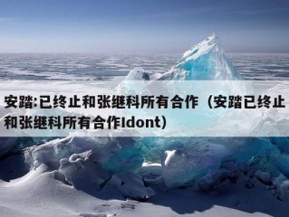 安踏:已终止和张继科所有合作（安踏已终止和张继科所有合作Idont）