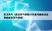 武汉天气（武汉天气预报15天查询最新消息恩施咸丰天气预报）