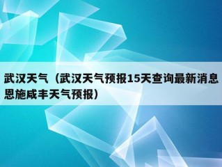 武汉天气（武汉天气预报15天查询最新消息恩施咸丰天气预报）