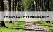 车辆托运哪家公司好（车辆托运哪家公司好）