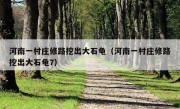 河南一村庄修路挖出大石龟（河南一村庄修路挖出大石龟7）