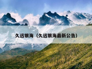 久远银海（久远银海最新公告）